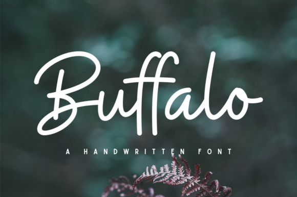 Buffalo: The Handwritten Font That Feels Like a Warm Hug